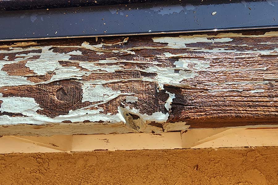 Wood paint damage